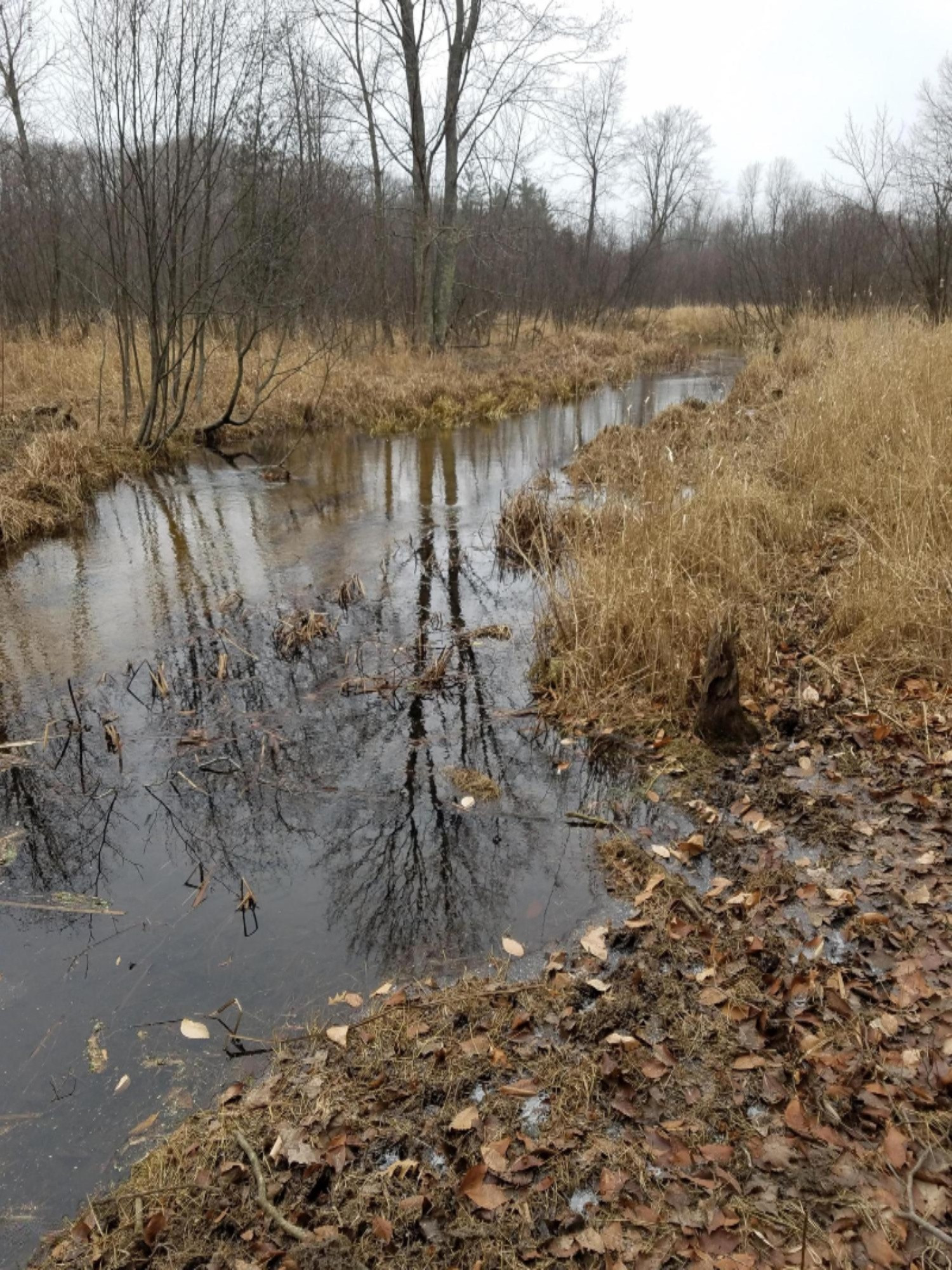 West Free Soil Road Free Soil, MI 49411 - Photo 24 of 35 20171206_103900