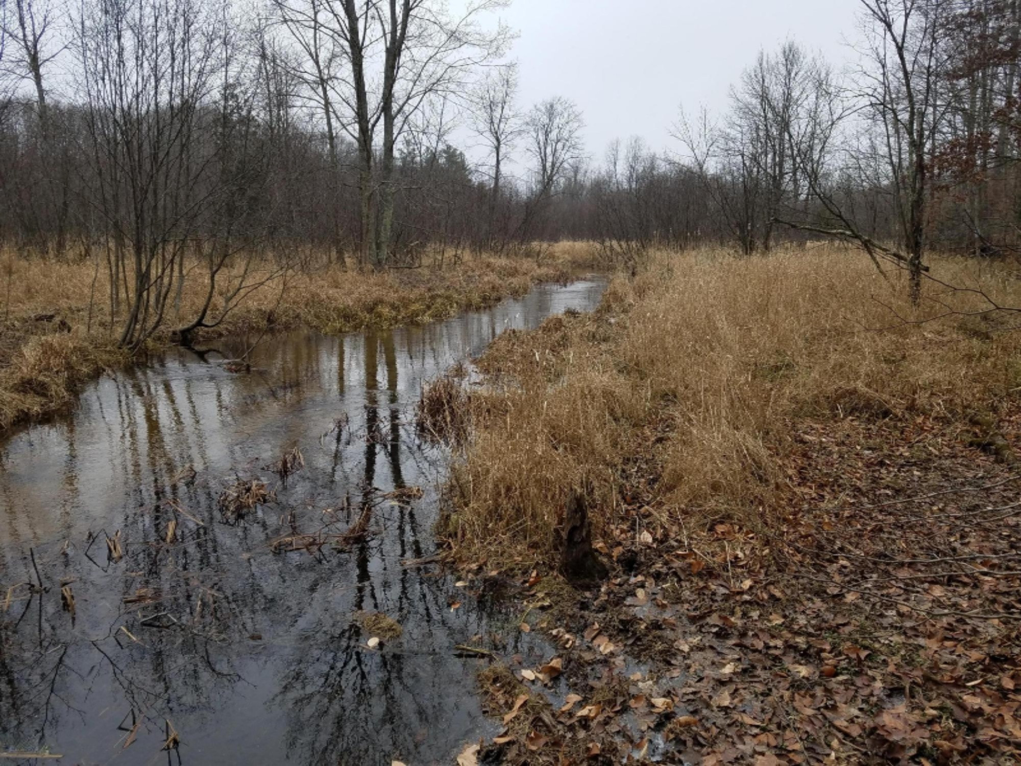 West Free Soil Road Free Soil, MI 49411 - Photo 25 of 35 20171206_103905
