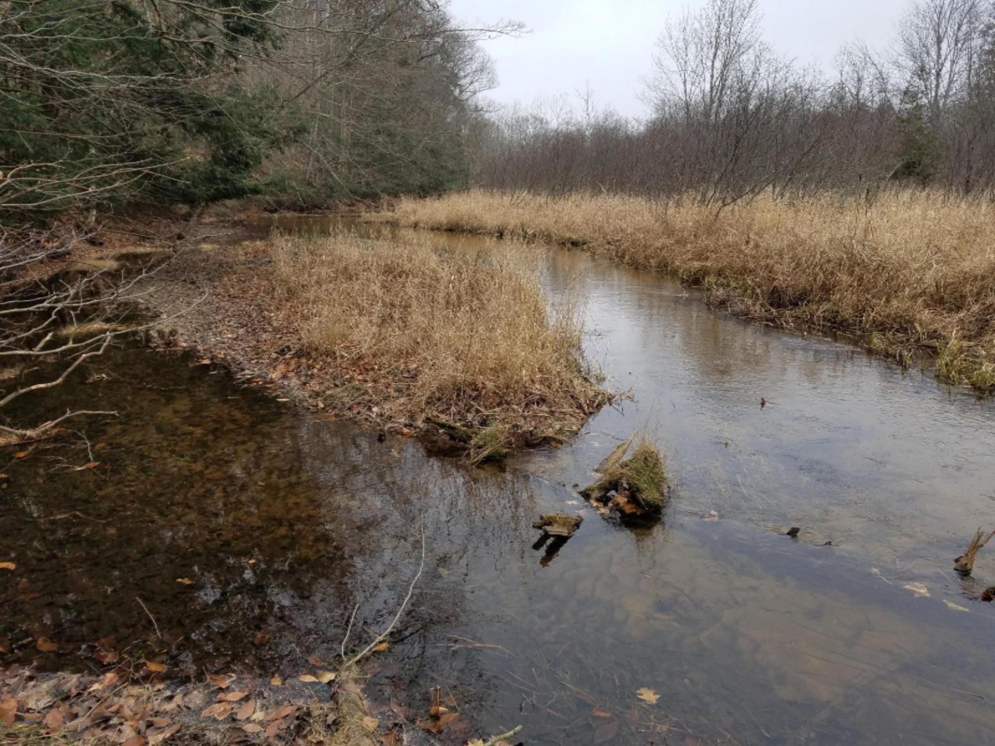 West Free Soil Road Free Soil, MI 49411 - Photo 26 of 35 20171206_103913