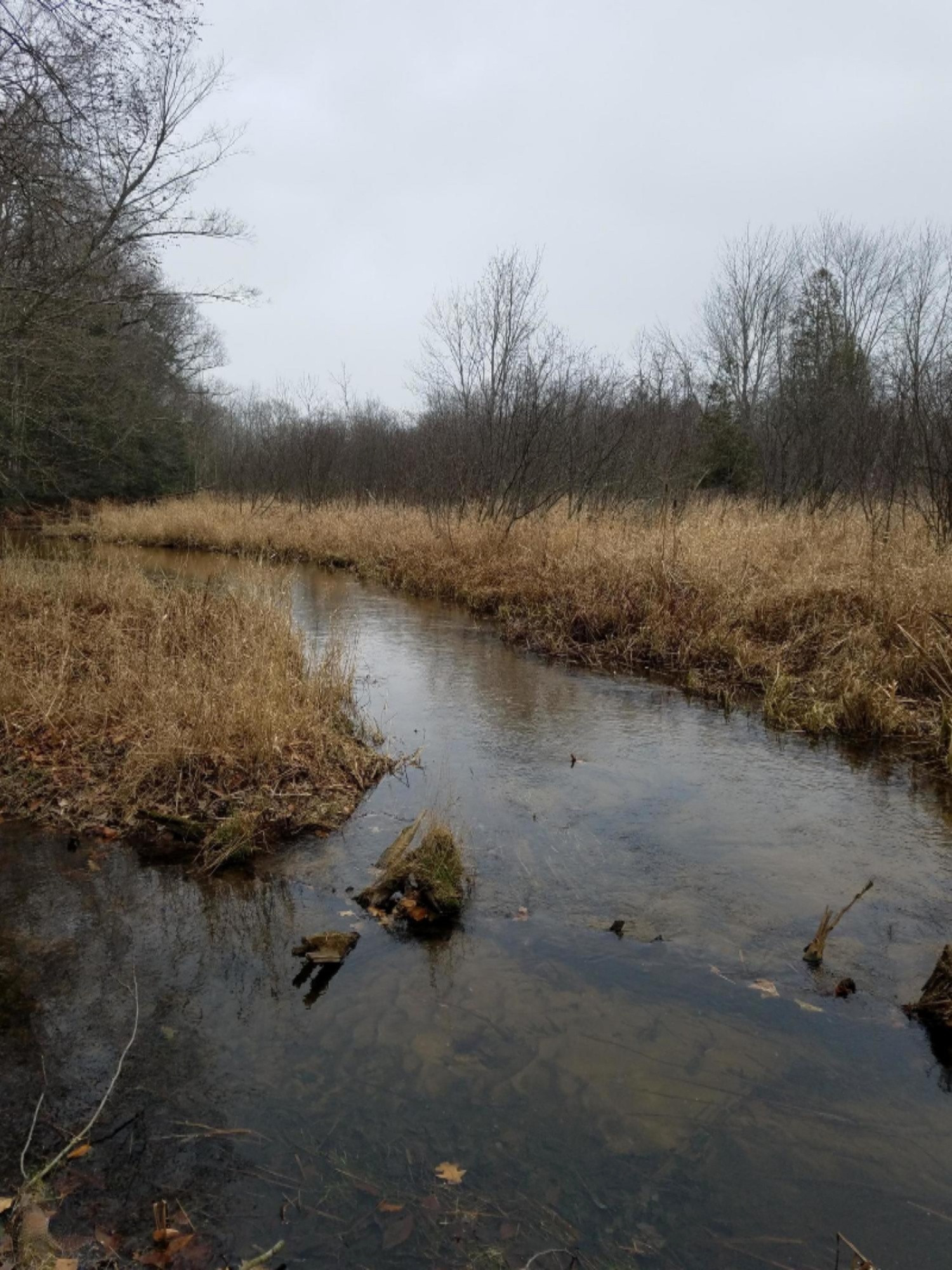 West Free Soil Road Free Soil, MI 49411 - Photo 27 of 35 20171206_103923