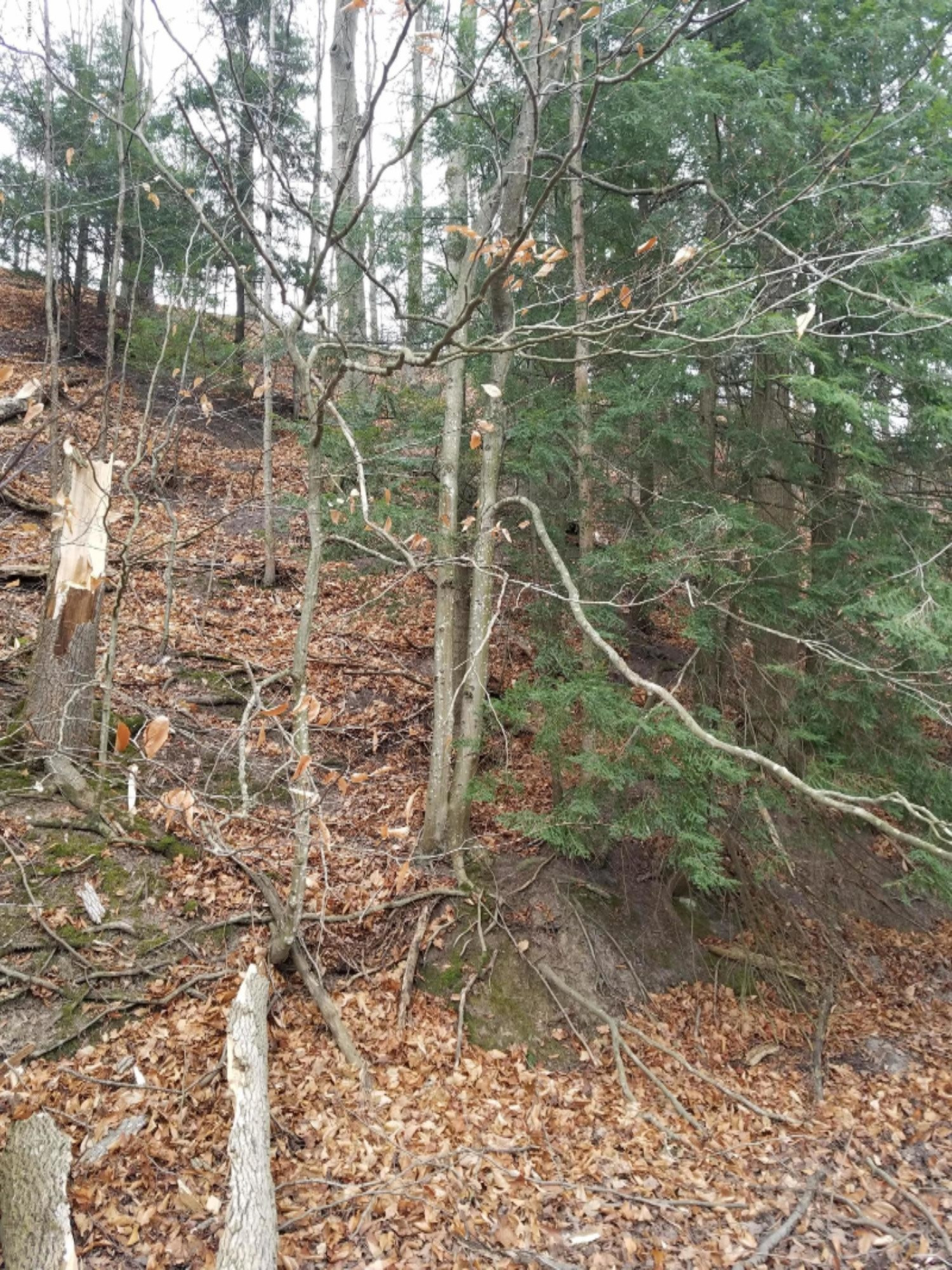 West Free Soil Road Free Soil, MI 49411 - Photo 28 of 35 20171206_103927
