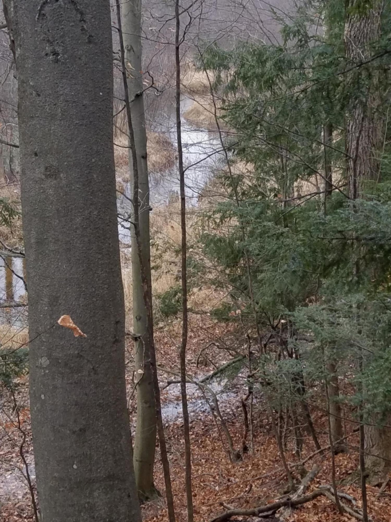 West Free Soil Road Free Soil, MI 49411 - Photo 31 of 35 20171206_104135