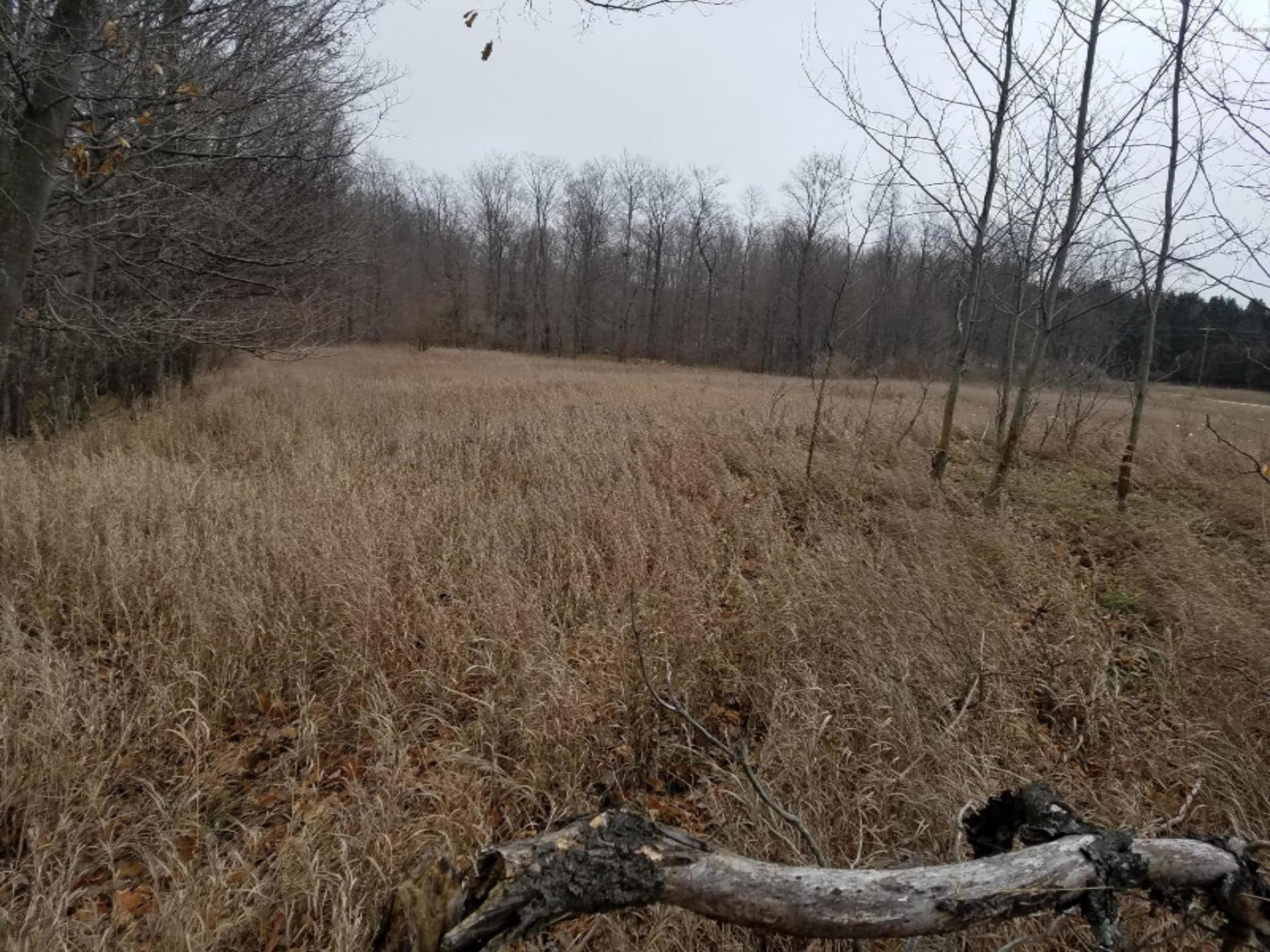 West Free Soil Road Free Soil, MI 49411 - Photo 34 of 35 20171206_104454