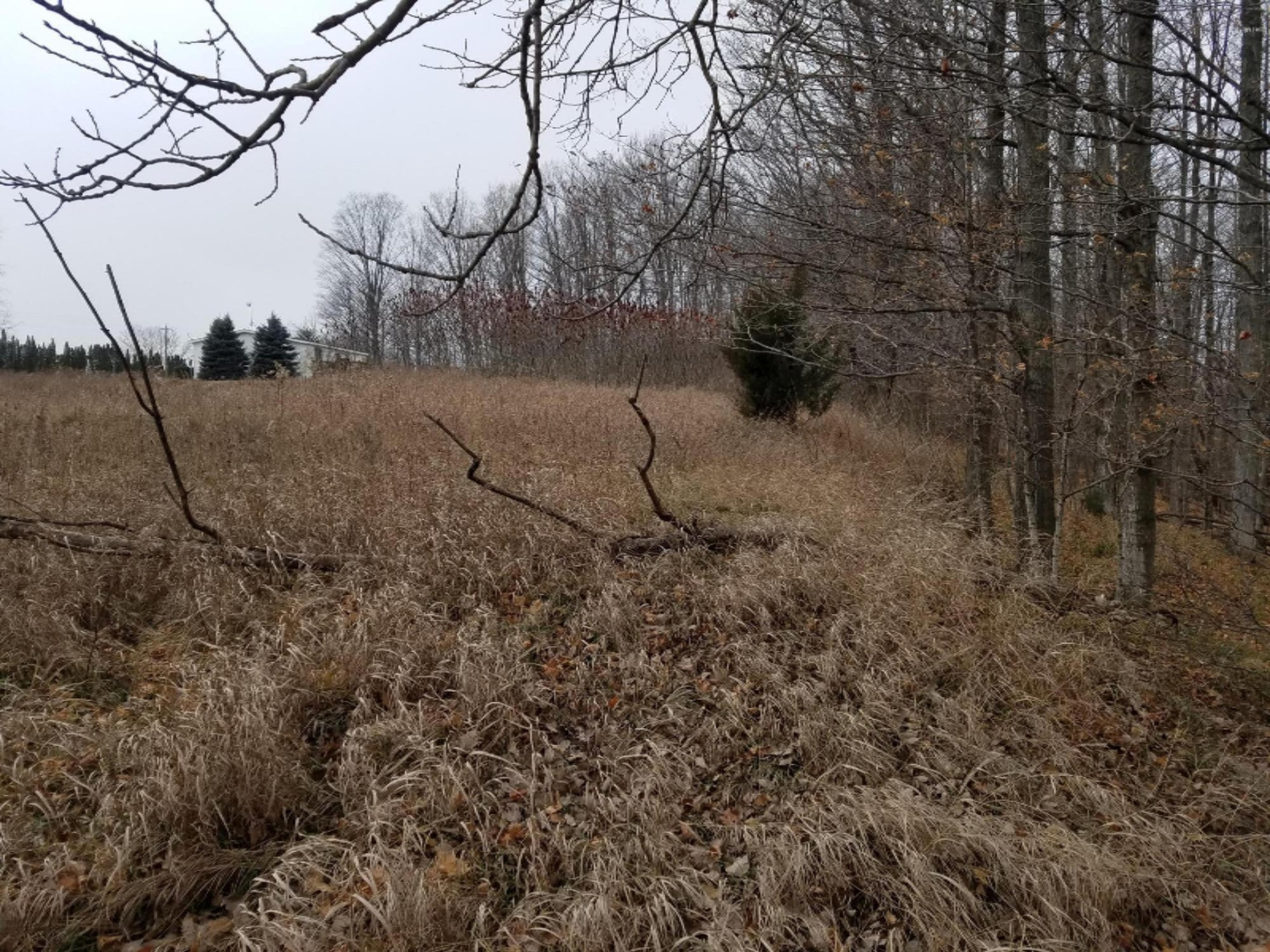 West Free Soil Road Free Soil, MI 49411 - Photo 35 of 35 20171206_104504