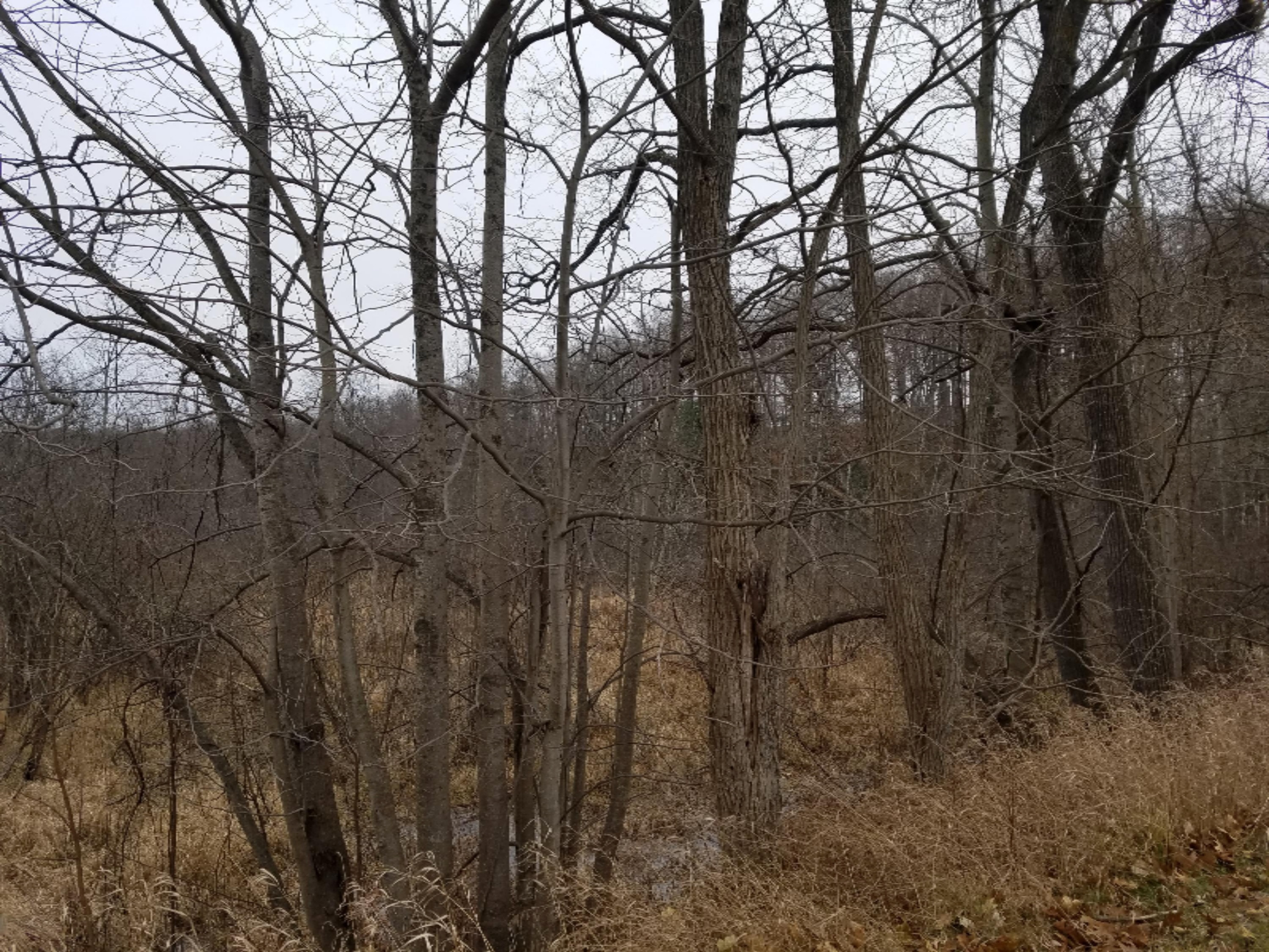 20171206_102421
