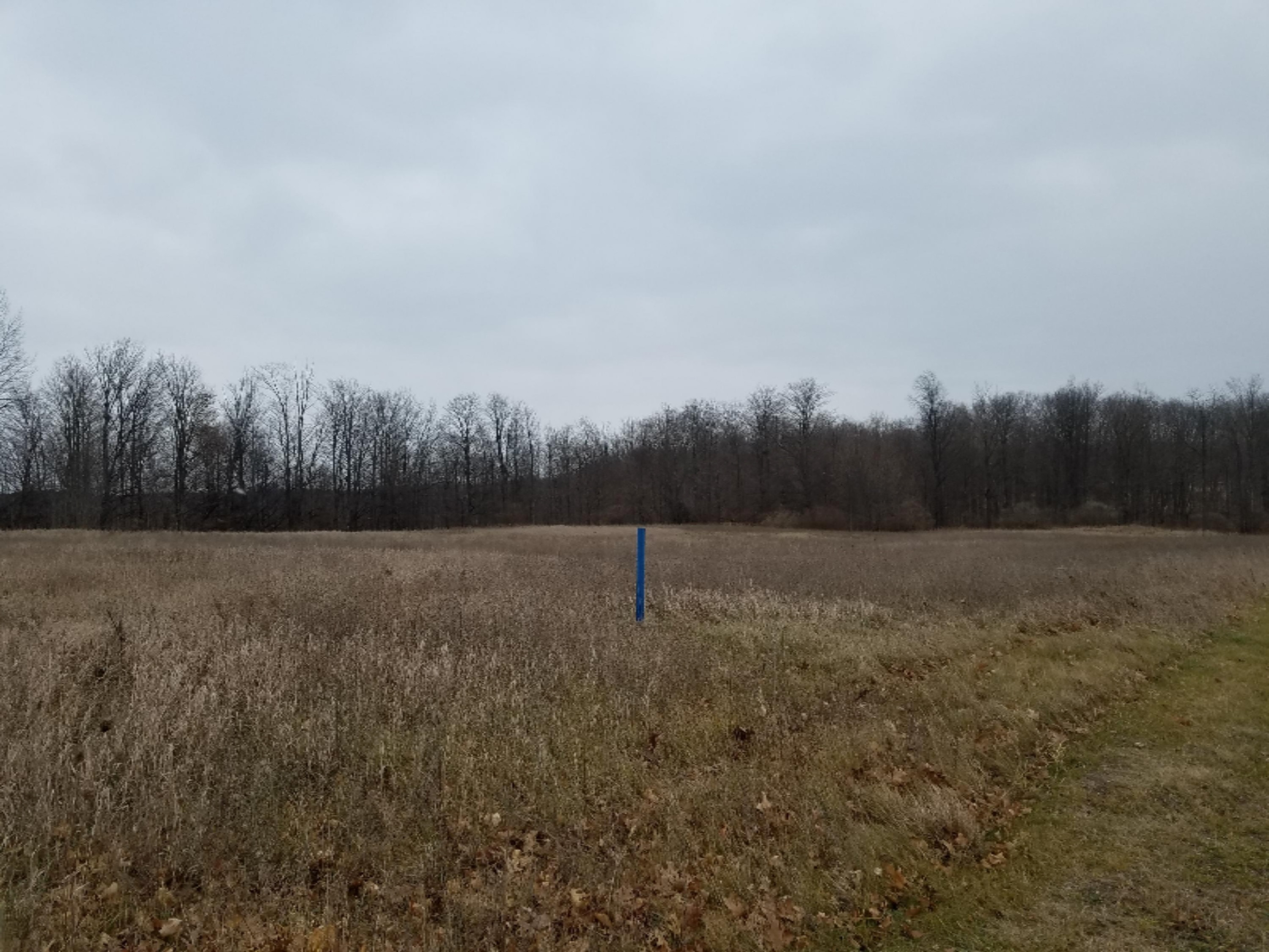 West Free Soil Road Free Soil, MI 49411 - Photo 8 of 35 20171206_102903