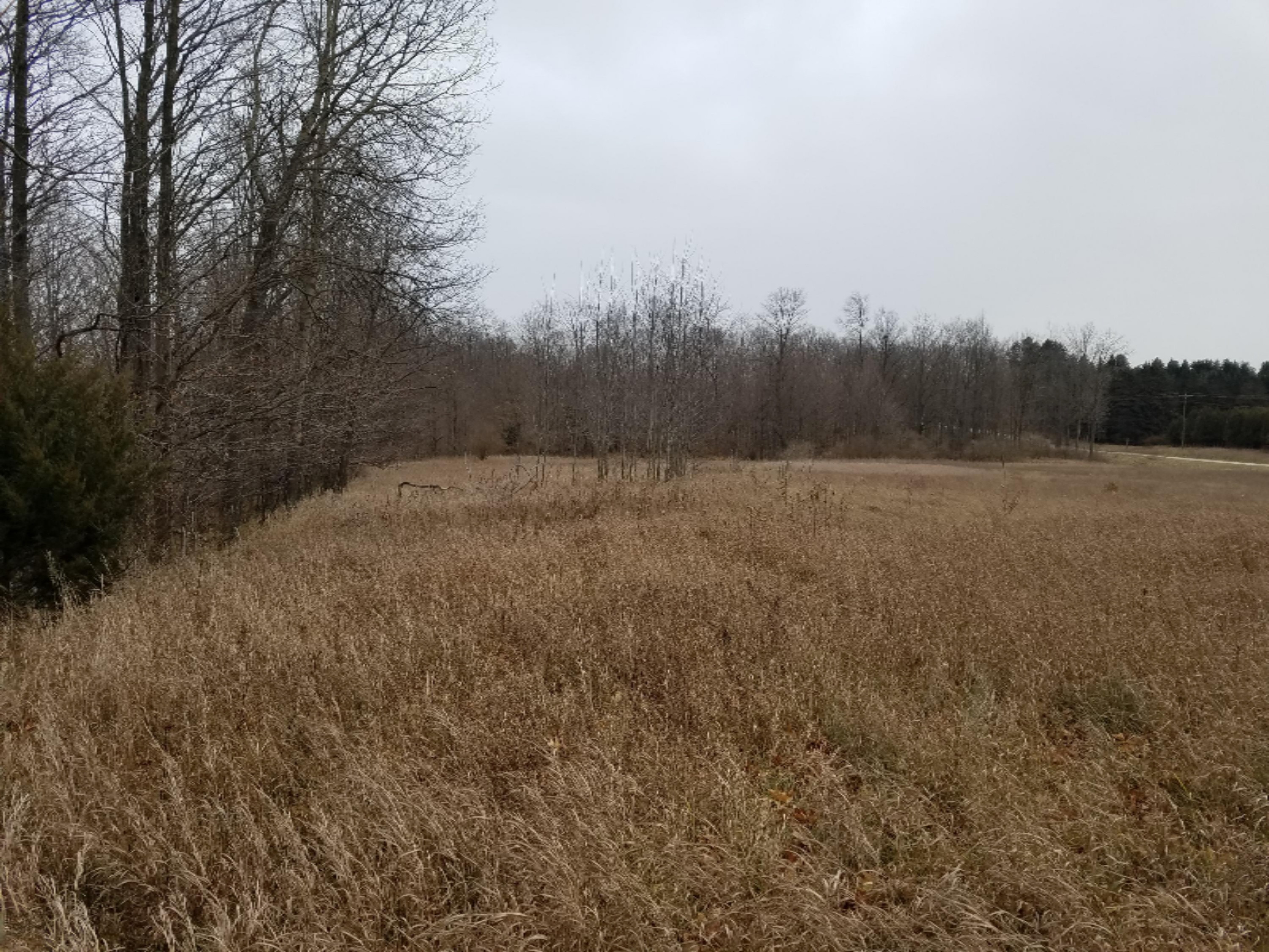 West Free Soil Road Free Soil, MI 49411 - Photo 9 of 35 20171206_103014