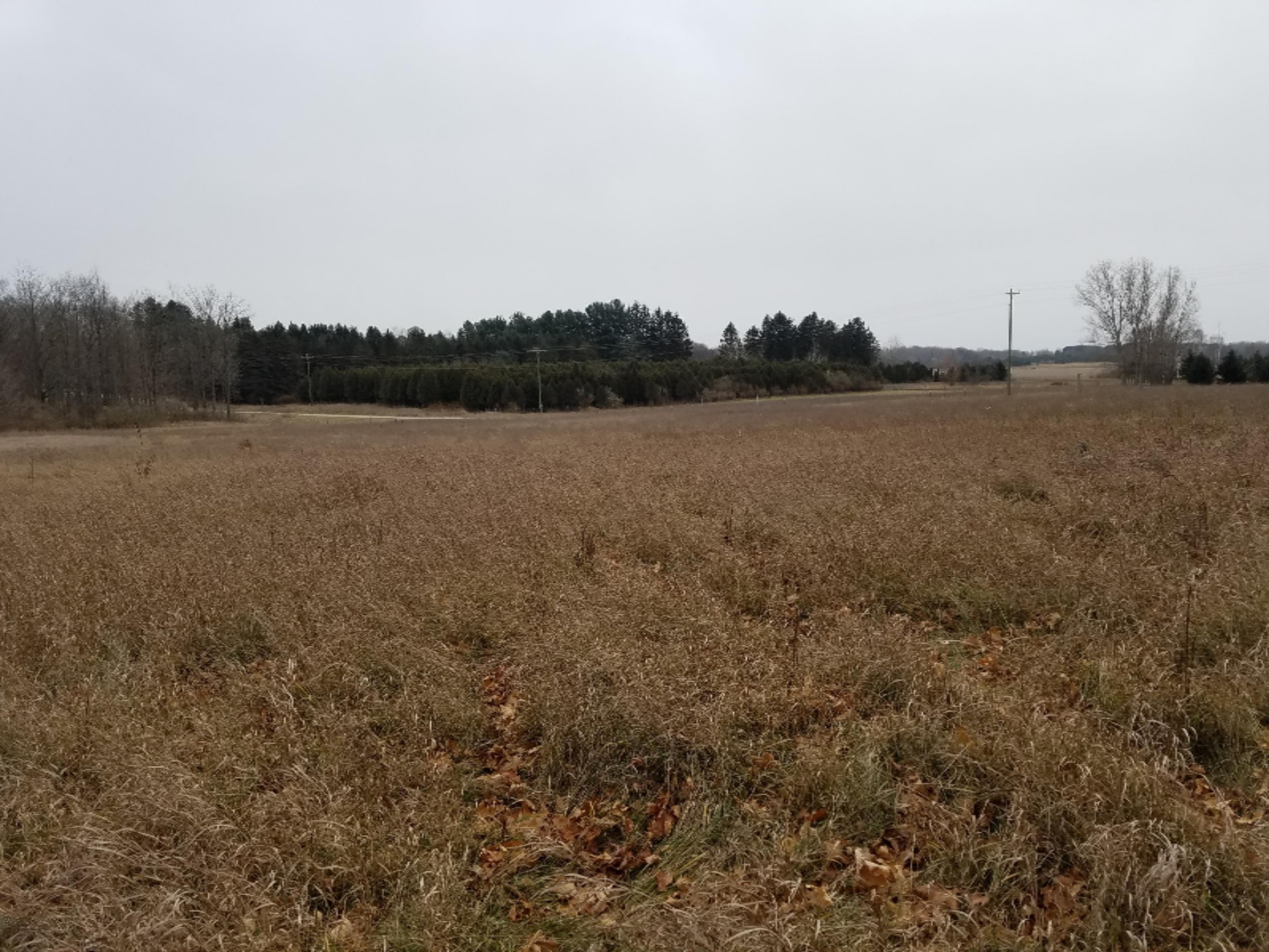 West Free Soil Road Free Soil, MI 49411 - Photo 10 of 35 20171206_103020