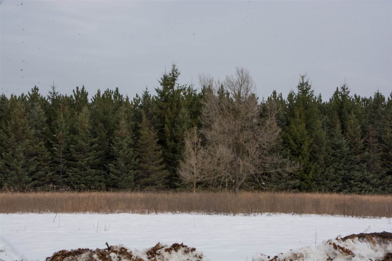 1193 Tyler Road Southeast Kalkaska, MI 49646 - Photo 31 of 35 1869209-33.JPG