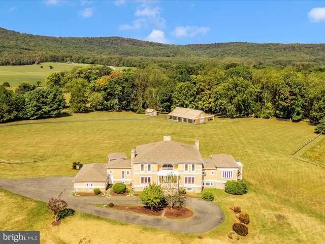 a view of a yard with an tree
