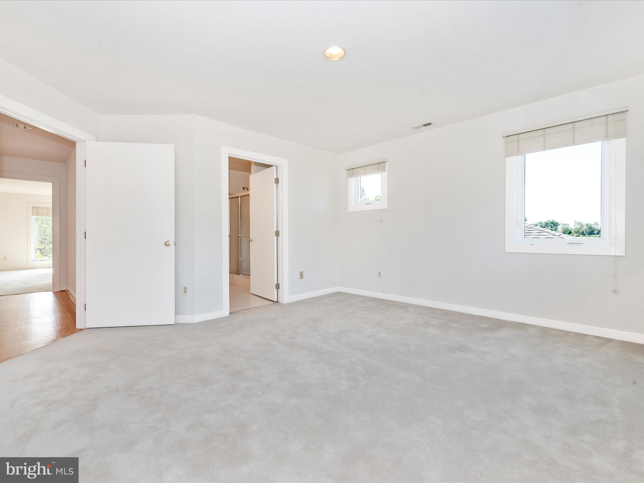 12 Barley Field Court Dickerson, MD 20842 - Photo 53 of 103 an empty room with windows and closet