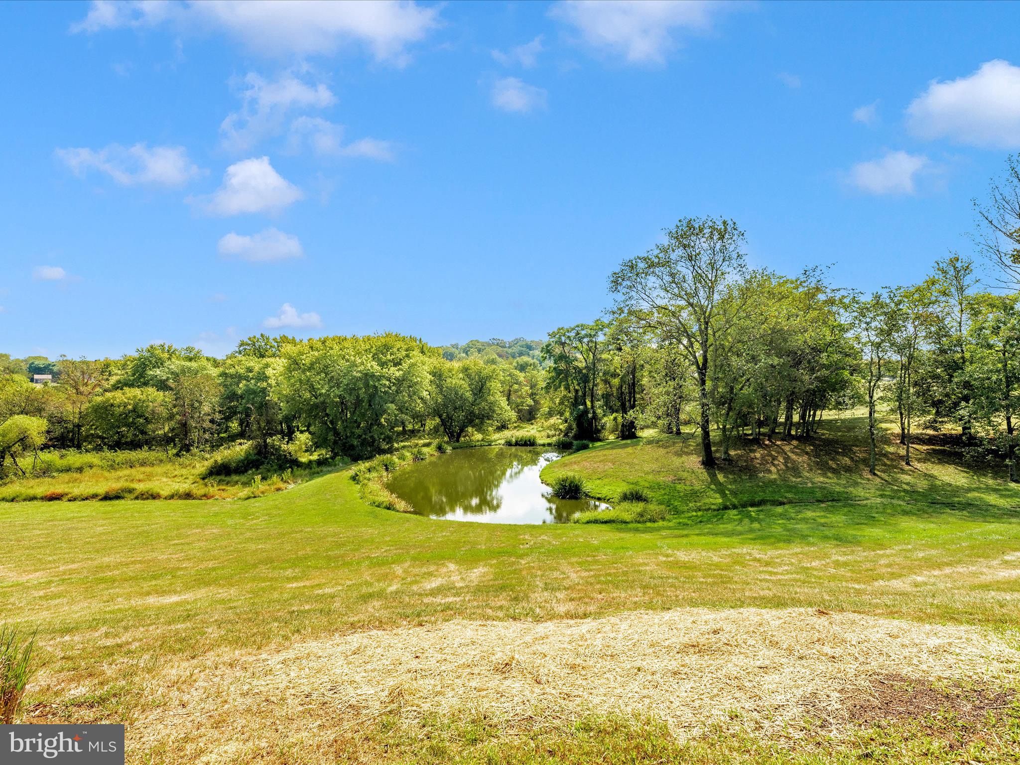 12 Barley Field Court Dickerson, MD 20842 - Photo 7 of 103 Private Pond