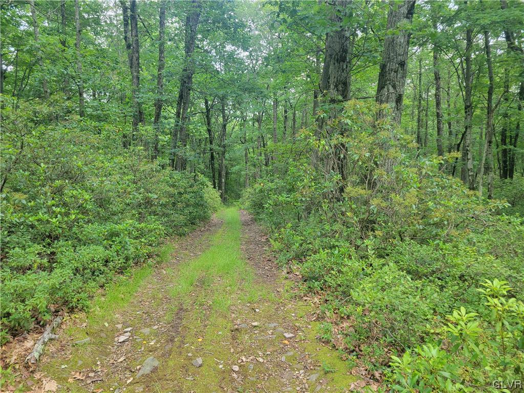 Sky View Drive Scotrun, PA 18355 - Photo 2 of 3