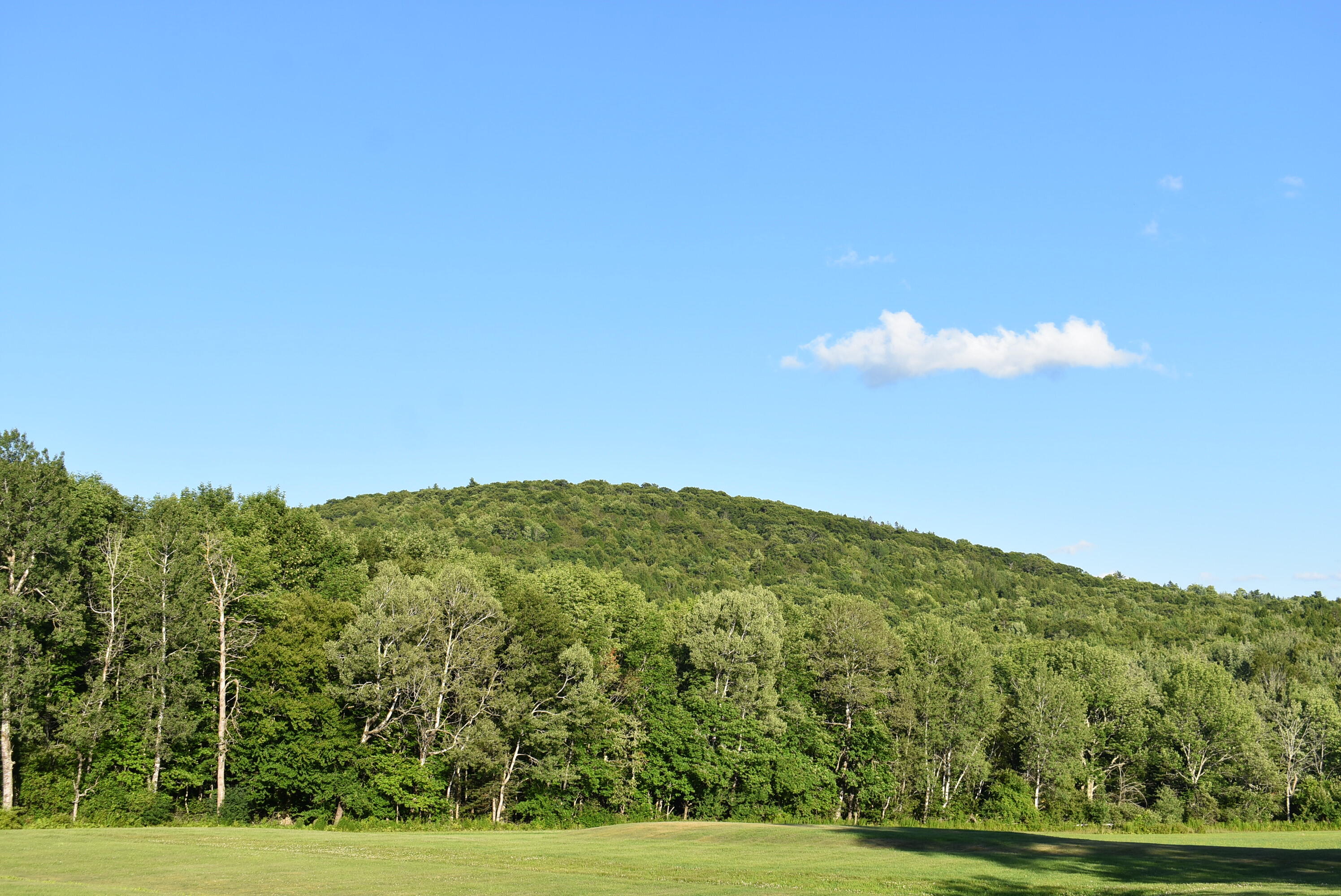 Knox Kenney Road Knox, ME 04986 - Photo 12 of 14 DSC_0159 - Copy
