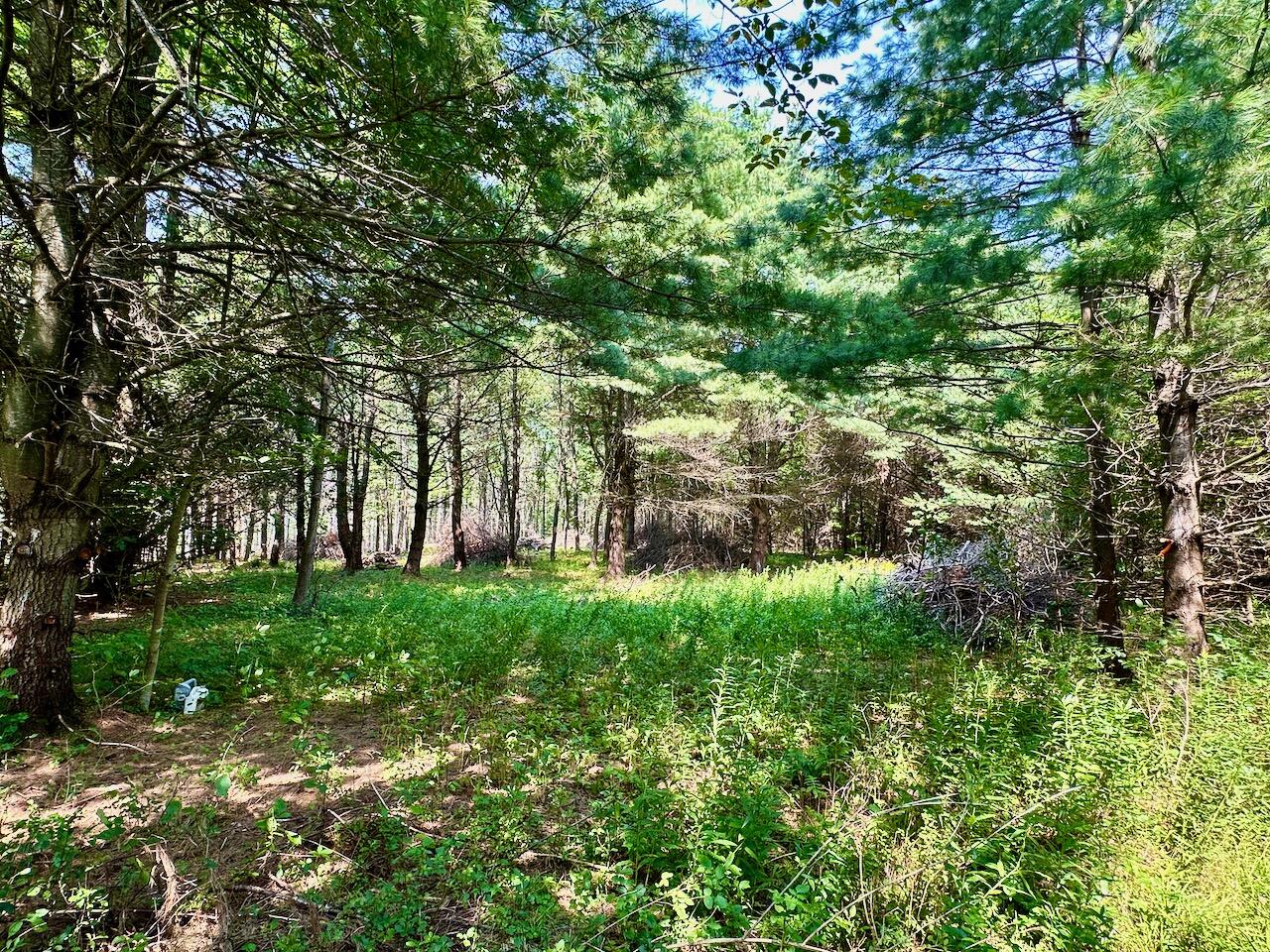 0 Dave Straight Road Jay, NY 12941 - Photo 4 of 17