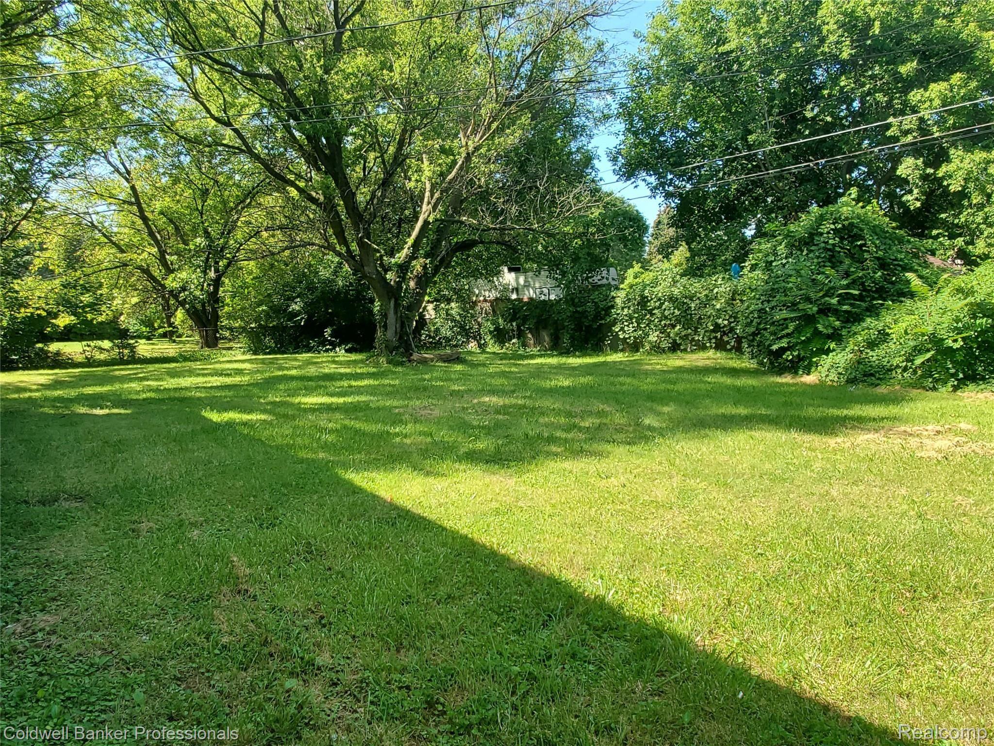 4312 Moore Street Inkster, MI 48141 - Photo 4 of 16 Photo14.jpg