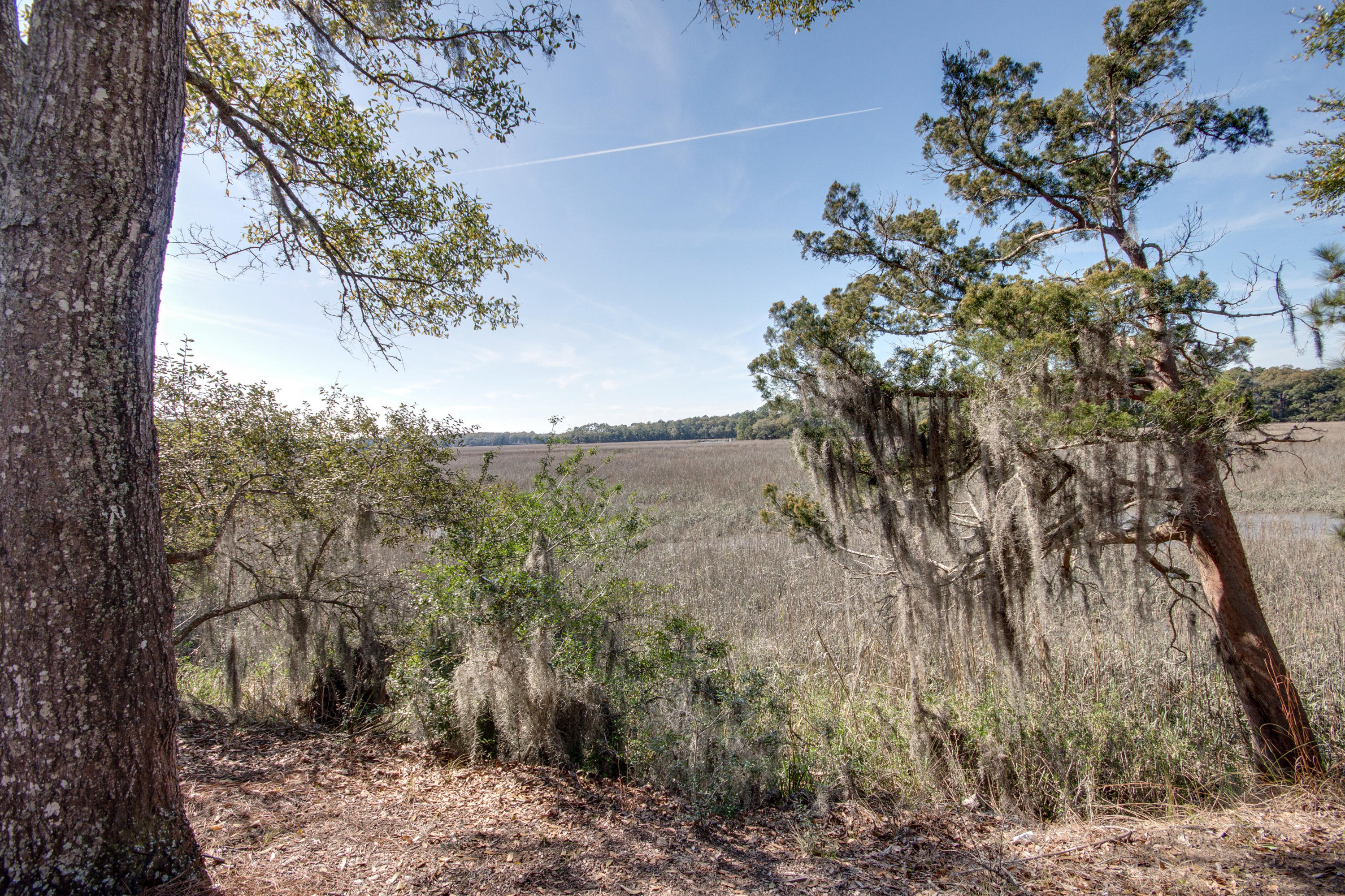 8630 Pope Landing Road Edisto Island, SC 29438 - Photo 54 of 64 ib1603082-1056