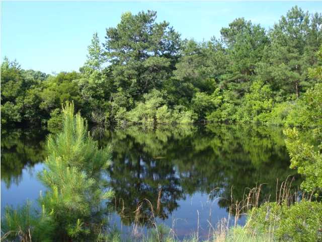 856 Featherbed Road Round O, SC 29474 - Photo 2 of 4 Additional Photo