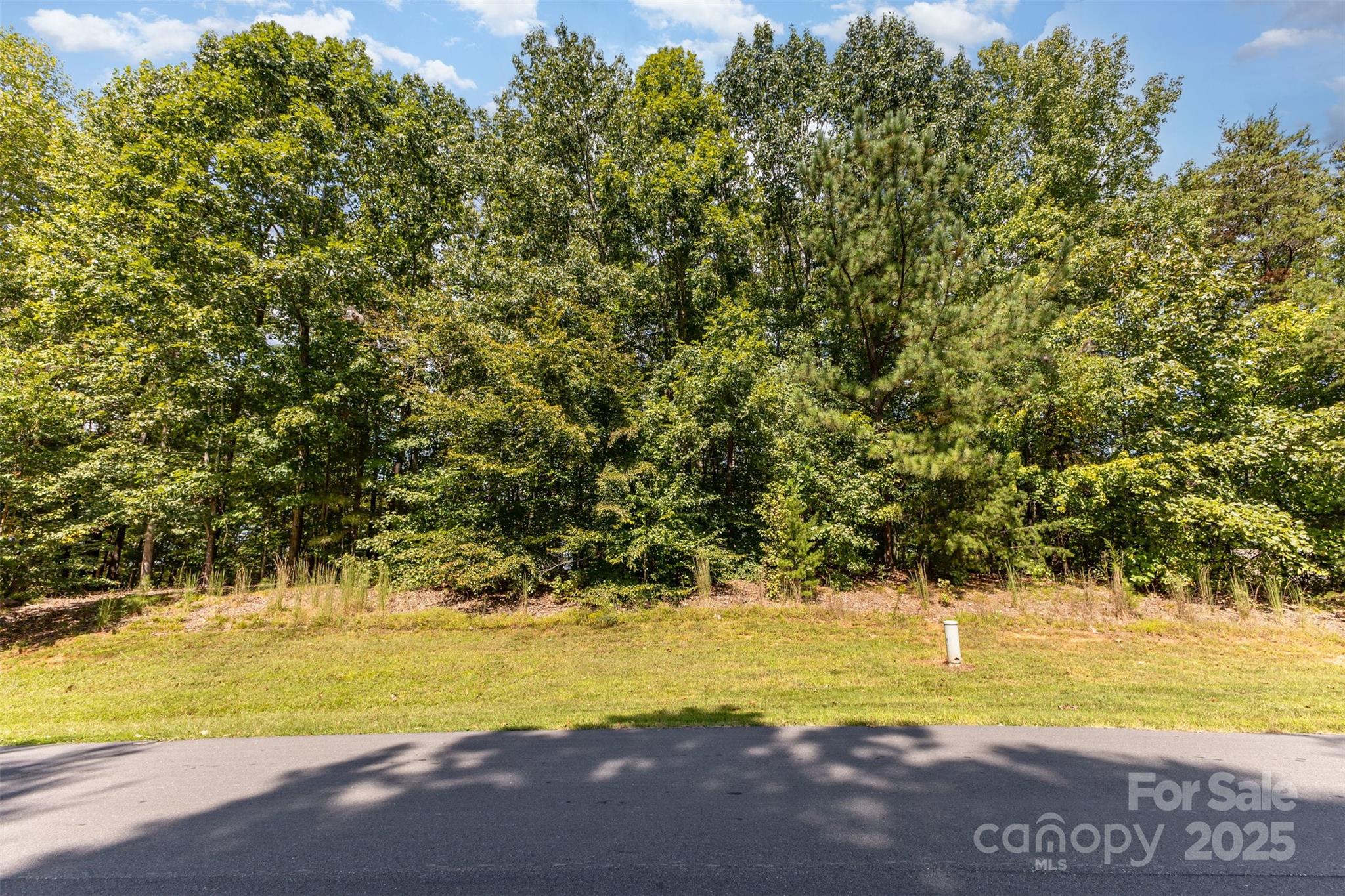 8068 Summit Ridge Drive Catawba, NC 28609 - Photo 27 of 33