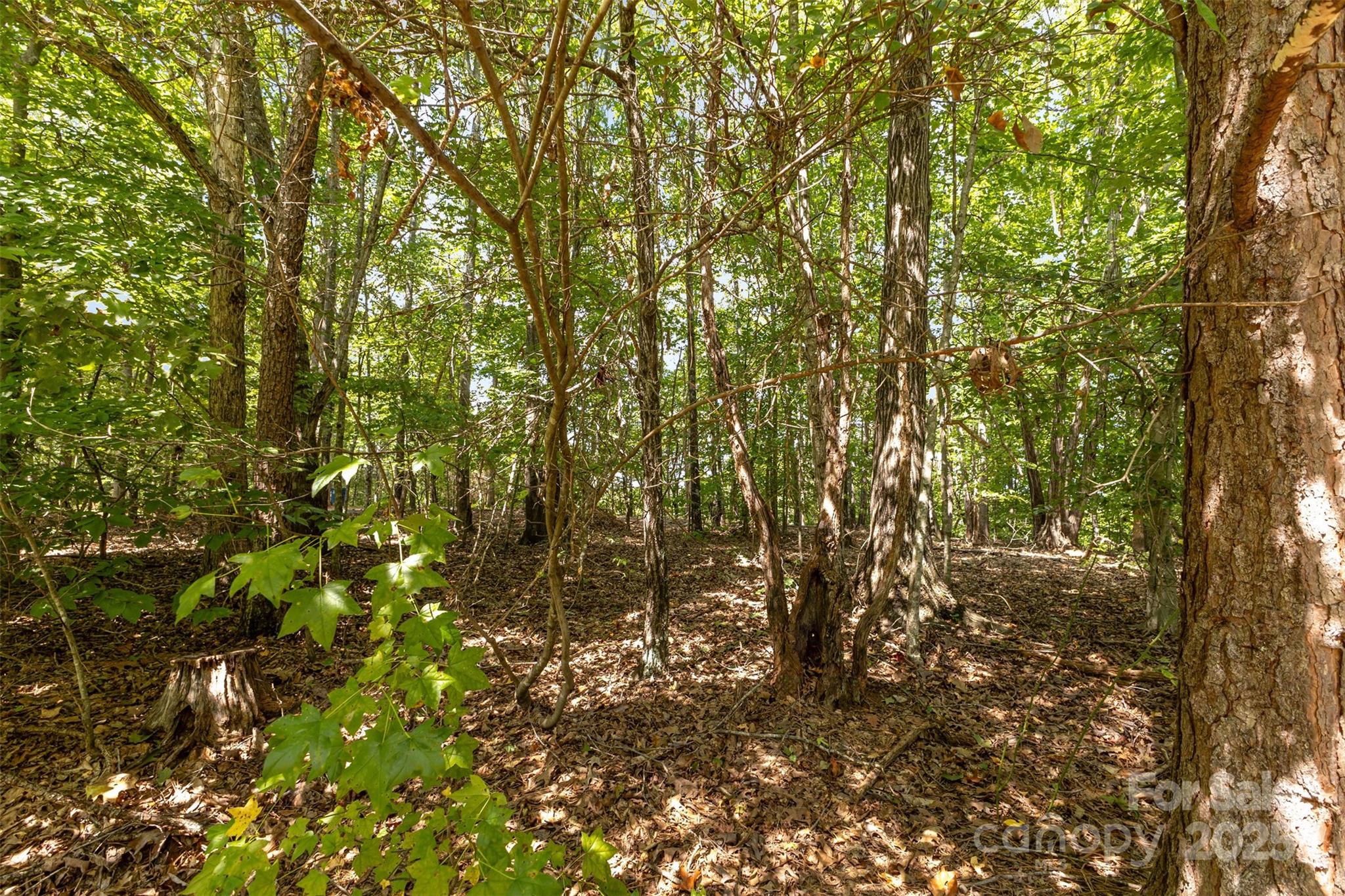 8068 Summit Ridge Drive Catawba, NC 28609 - Photo 29 of 33