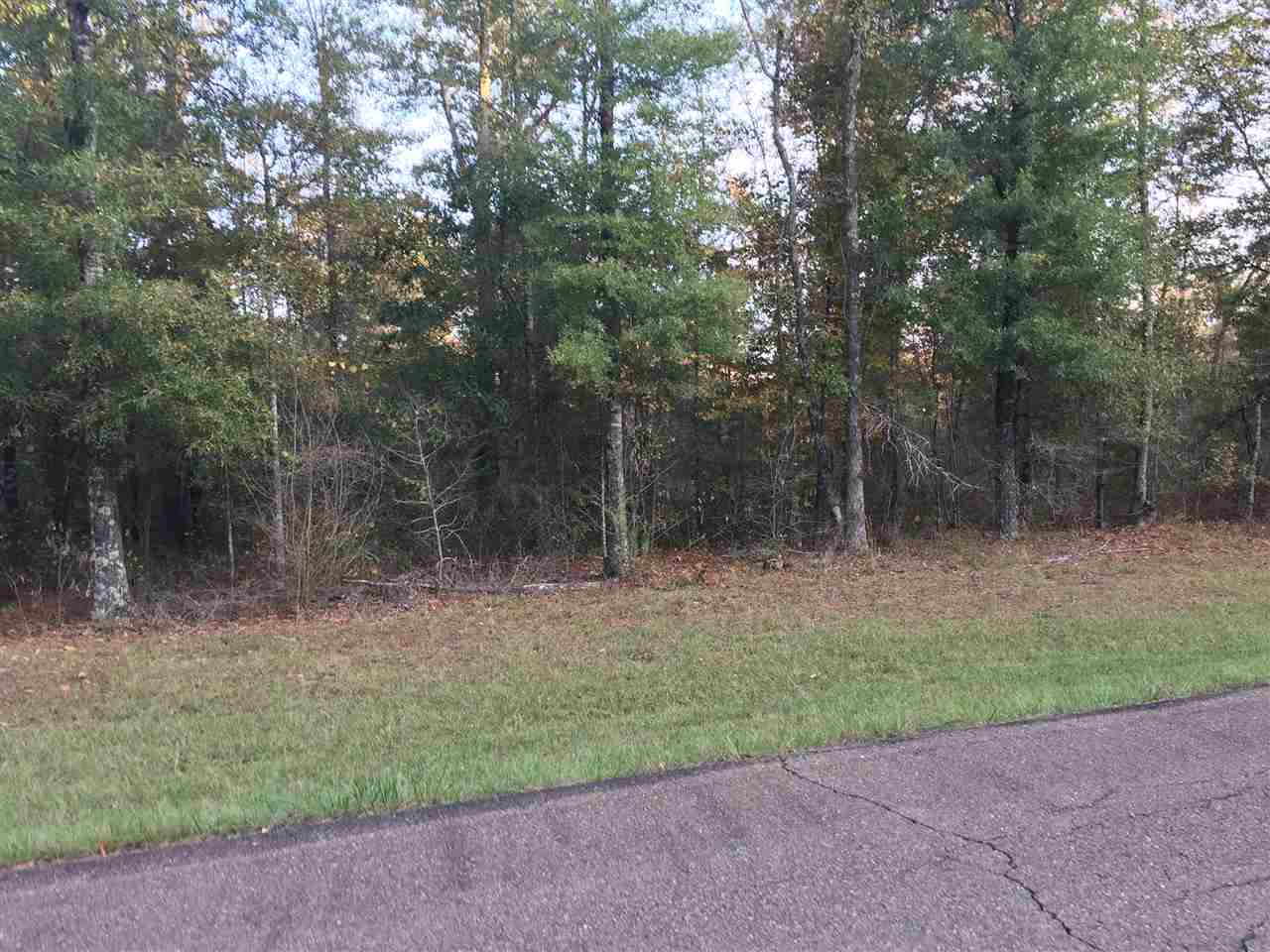 4 Country Club Road, Unit TRACT #4 Forest, MS 39074 - Photo 1 of 1 Photo 1