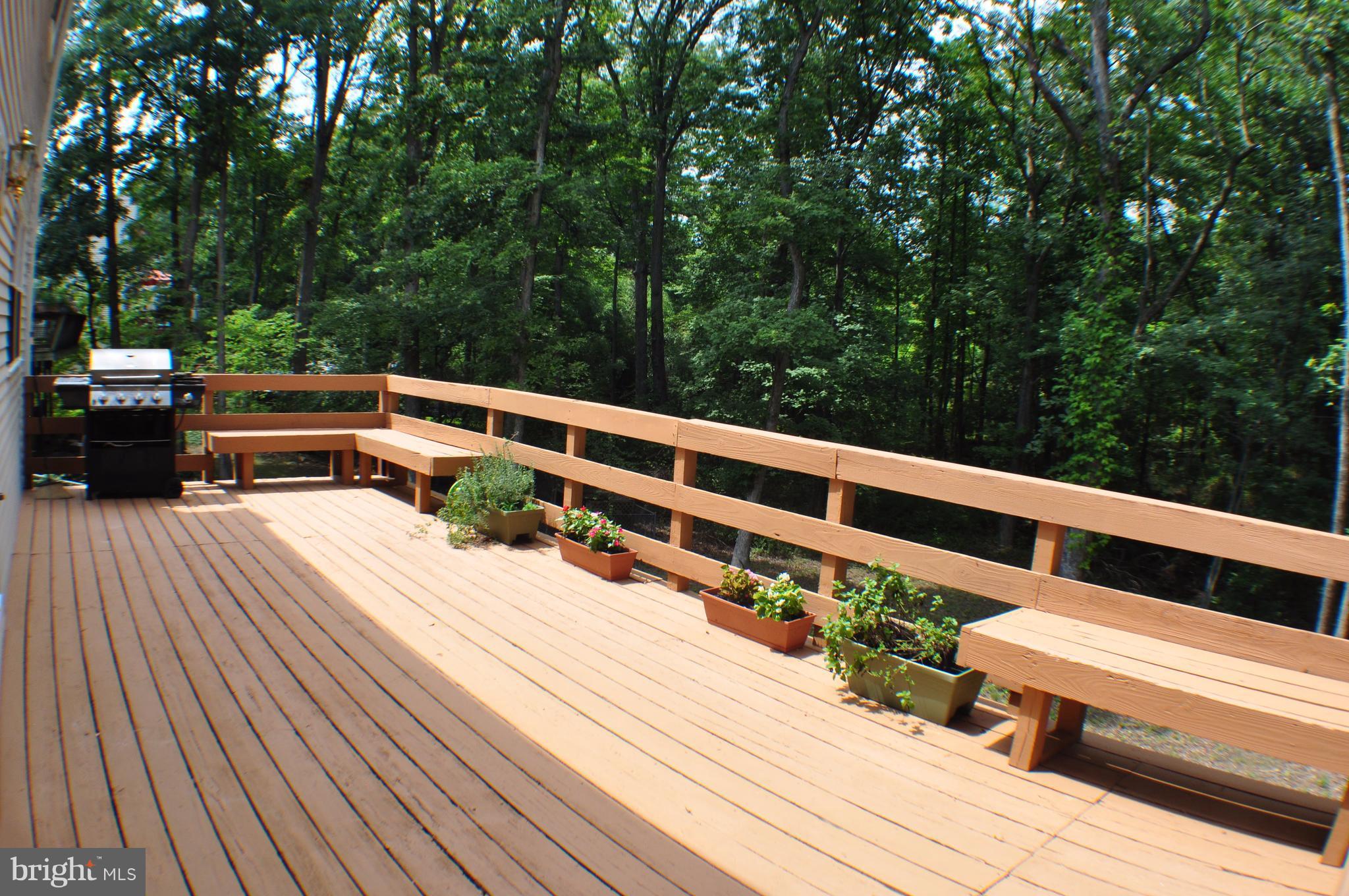 8420 Oak Stream Drive Laurel, MD 20708 - Photo 23 of 24 Exterior (Rear)