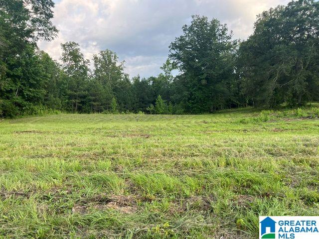 1663 County Road 2 Montevallo, AL 35115 - Photo 38 of 46