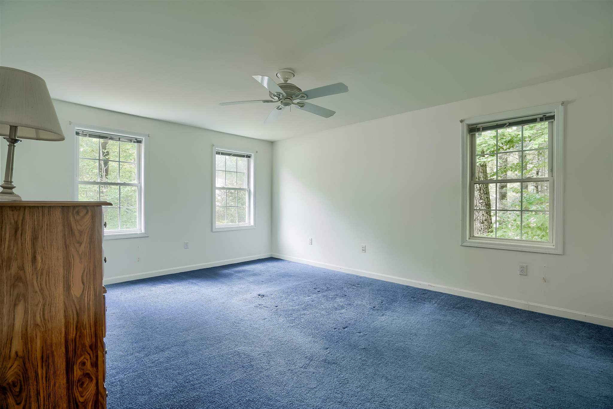102 McIntosh Road Danville, NH 03819 - Photo 19 of 34 Gallery Image 19