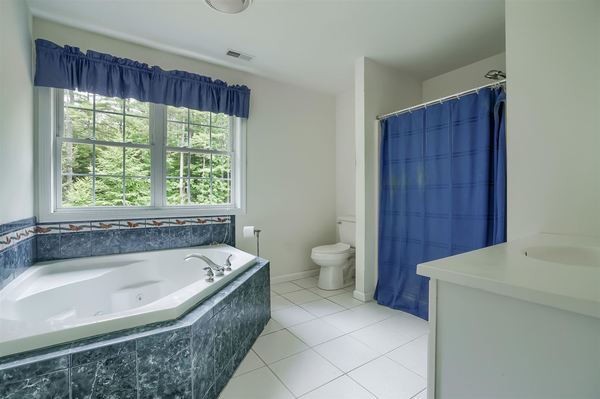 102 McIntosh Road Danville, NH 03819 - Photo 22 of 34 Gallery Image 22