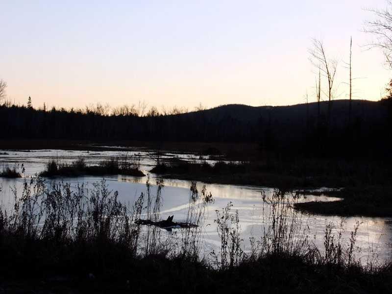 Lot 2 Brown Road Oakfield, ME 04763 - Photo 5 of 31 Land.