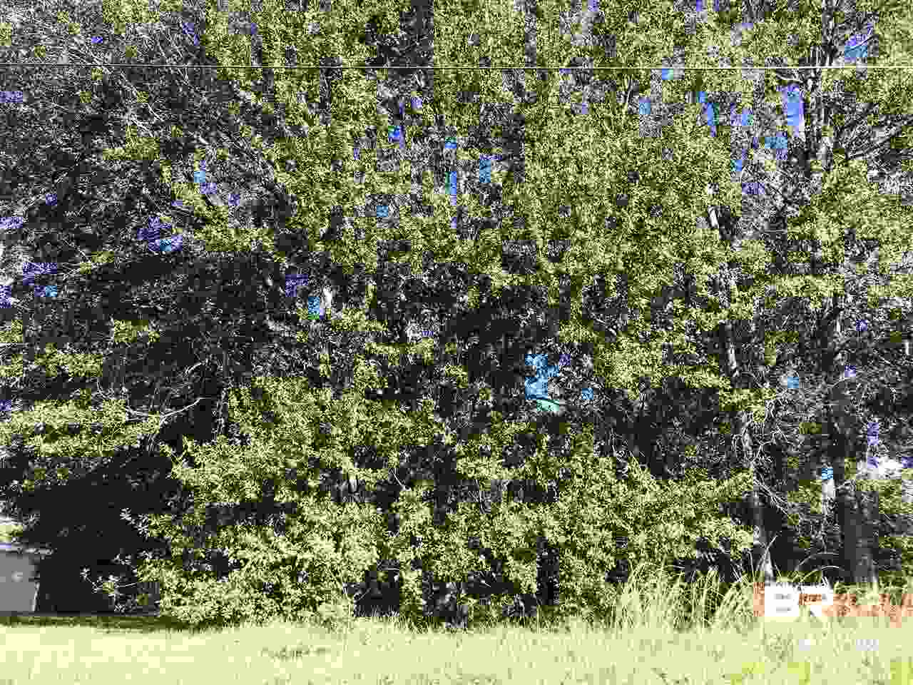 7170 Dickens Ferry Road Mobile, AL 36608 - Photo 2 of 2