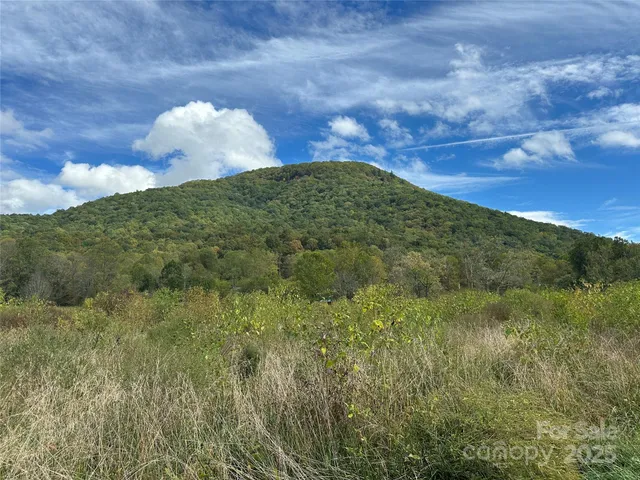 $199,900 | 0 Highland River Parkway, Unit 3, Spruce Pine, NC 28777