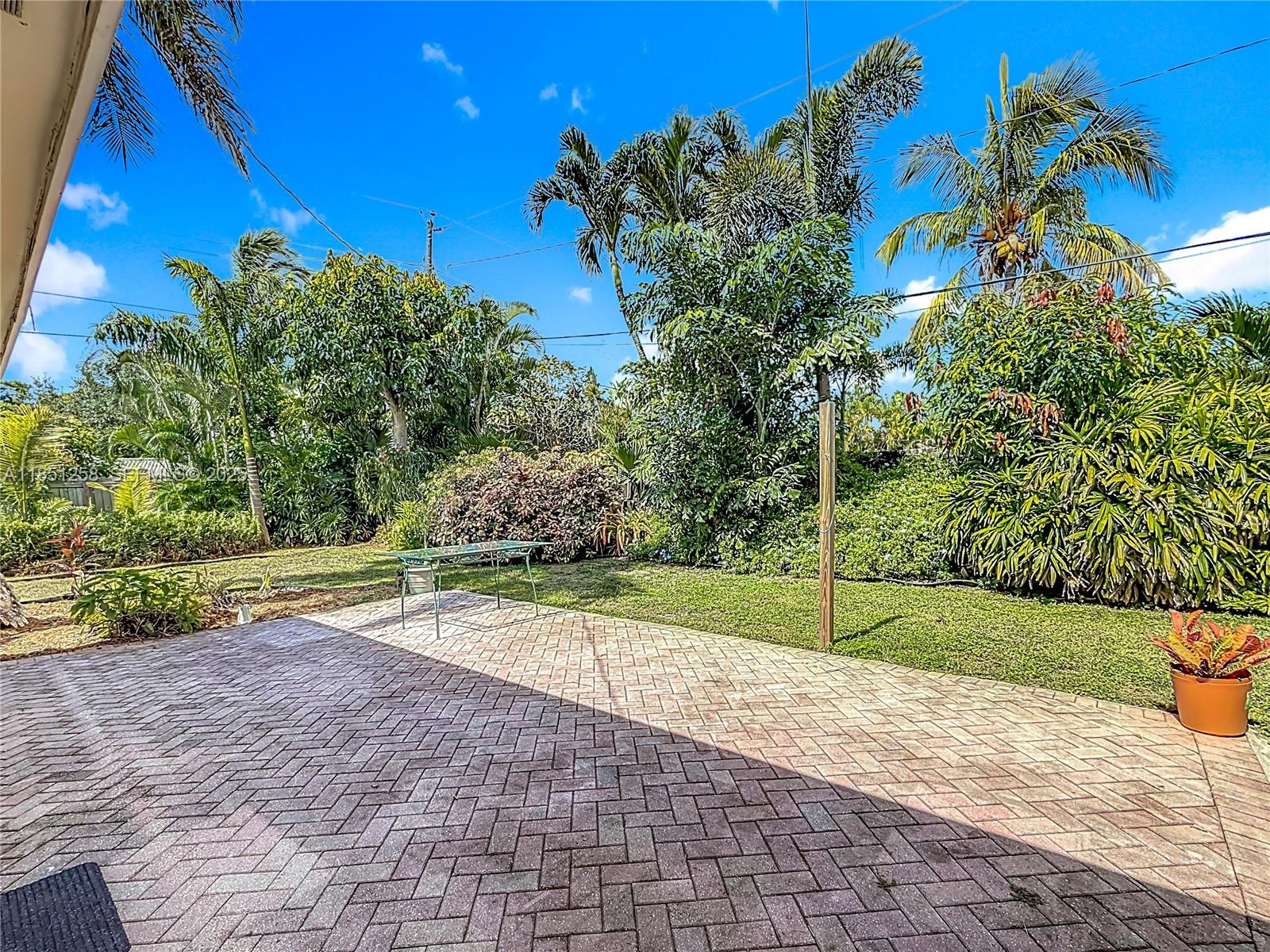 4911 Northeast 24th Avenue Lighthouse Point, FL 33064 - Photo 37 of 63 a view of a backyard