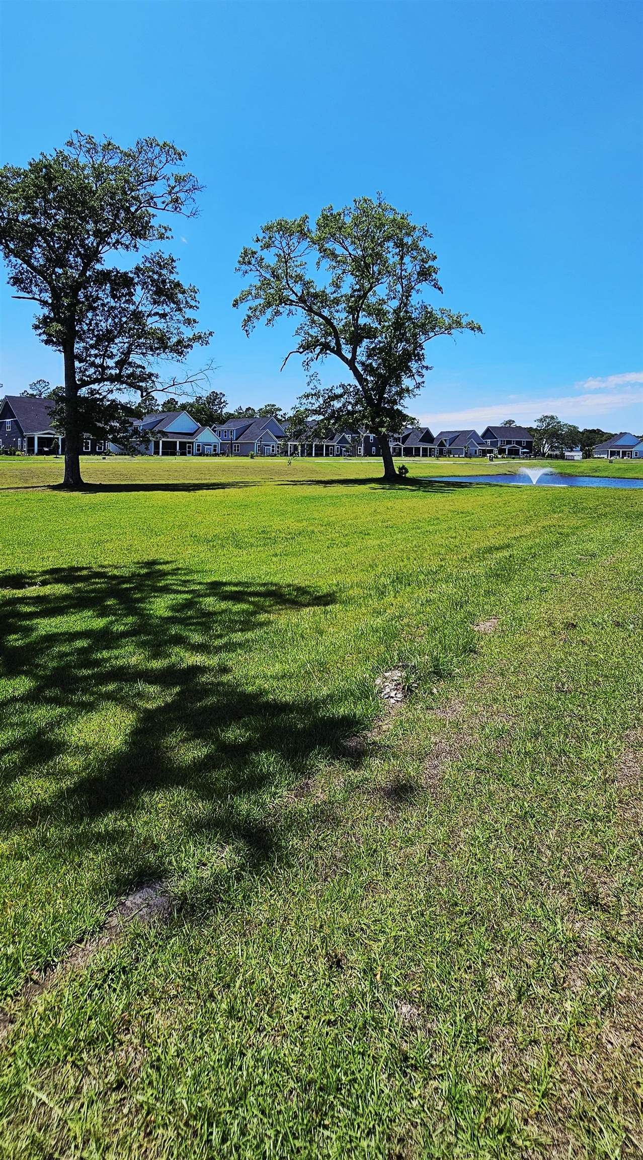 2313 Hazel Way Longs, SC 29568 - Photo 21 of 40