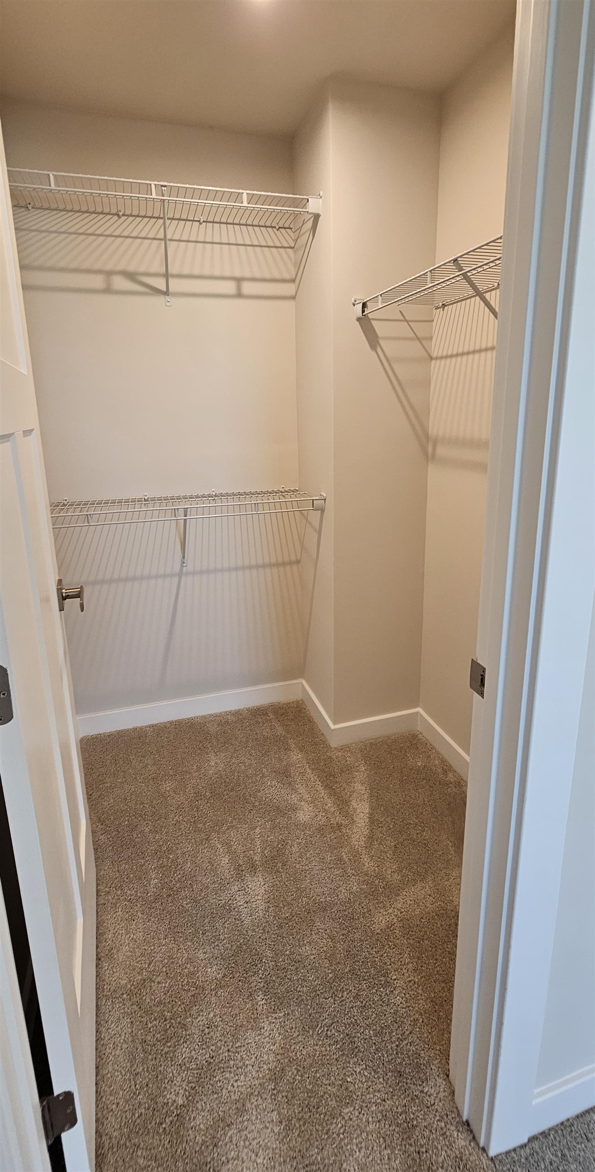 2313 Hazel Way Longs, SC 29568 - Photo 31 of 40