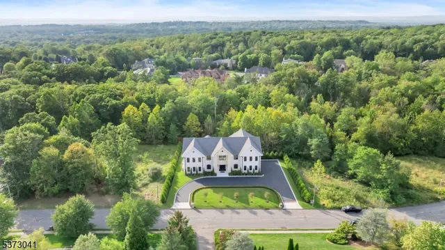 an aerial view of a house with a garden