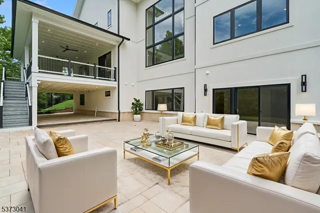 a view of a patio with couches and a potted plant on a table