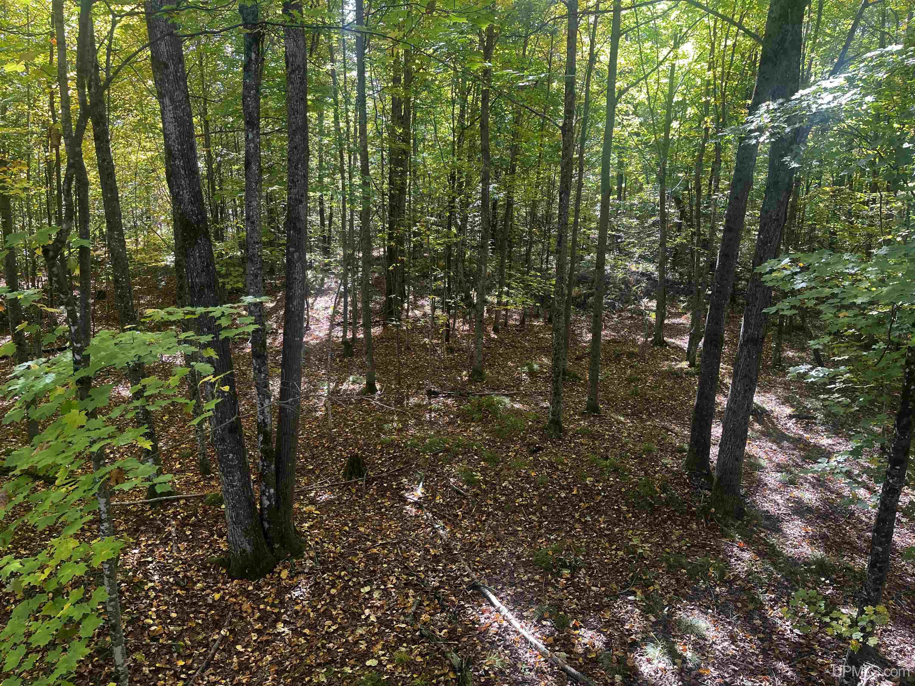 4104 Storm Road Chatham, MI 49816 - Photo 24 of 45