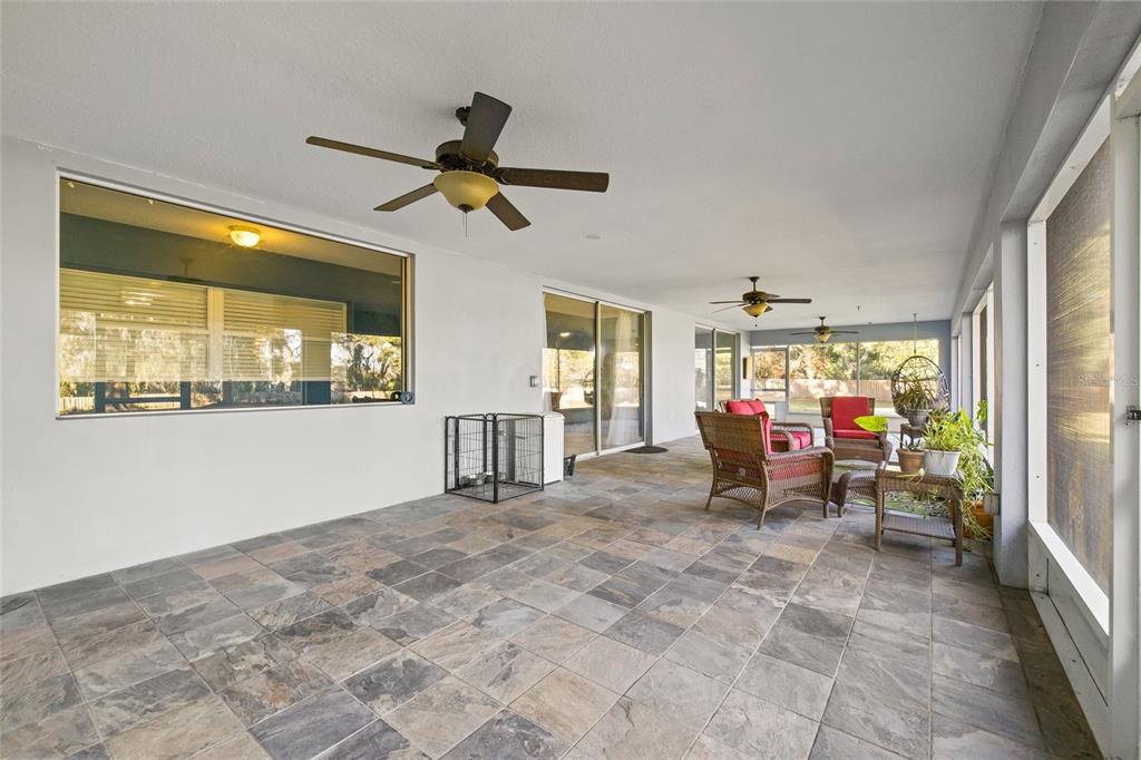 31445 Amberlea Road Dade City, FL 33523 - Photo 24 of 52