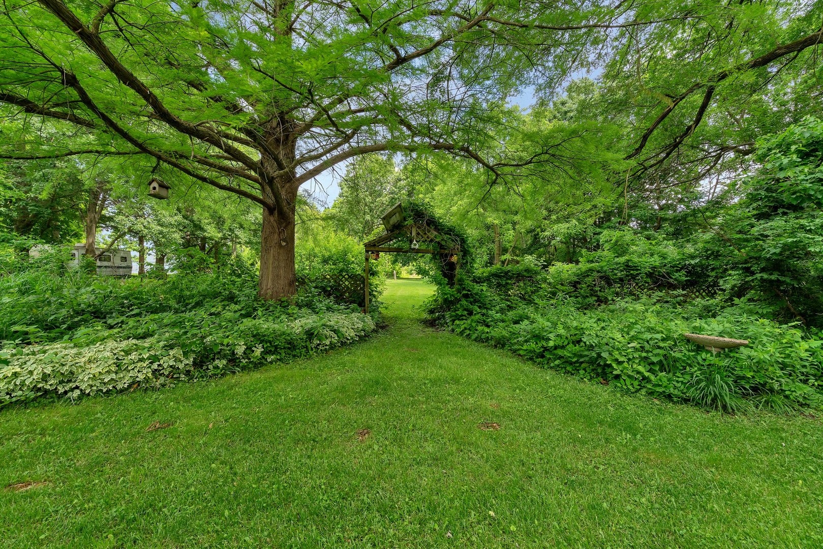 13130 McKanna Road Minooka, IL 60447 - Photo 48 of 56 a view of a yard with plants and a large tree