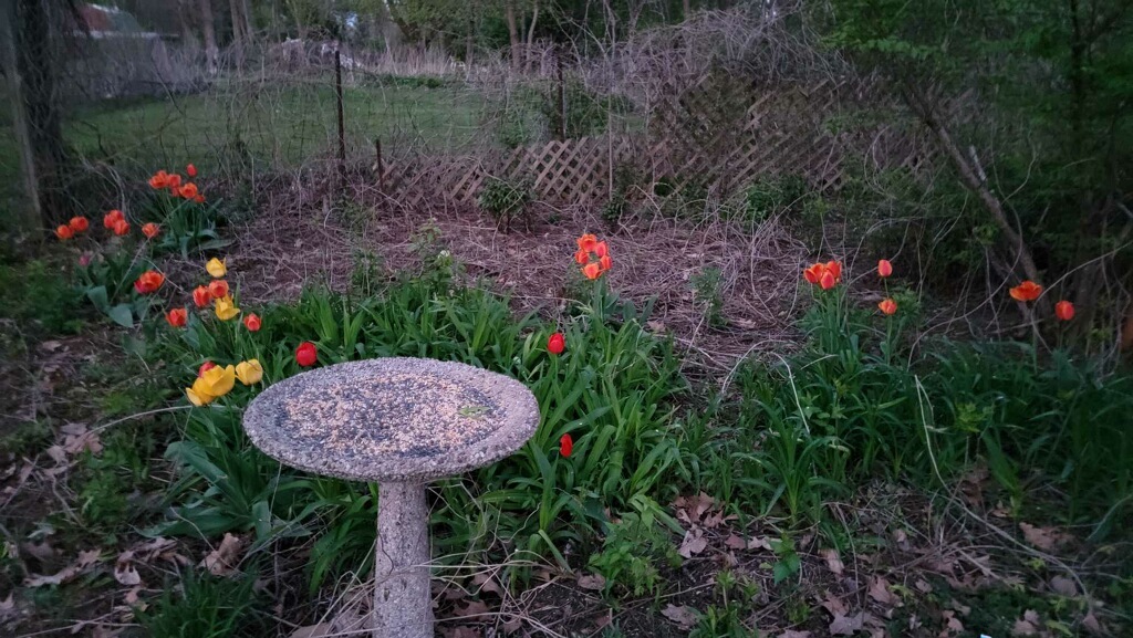 13130 McKanna Road Minooka, IL 60447 - Photo 52 of 56 a view of a garden of the house with a flower garden