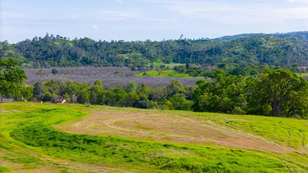 a view of a garden with an outdoor space