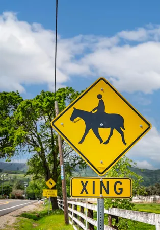 a blue sign that is on the side of a road