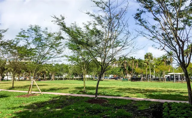 a view of a park with large trees
