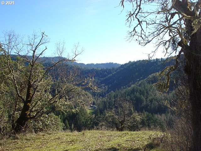 4466 Clarks Branch Road Myrtle Creek, OR 97457 - Photo 1 of 13 Gallery Image 1