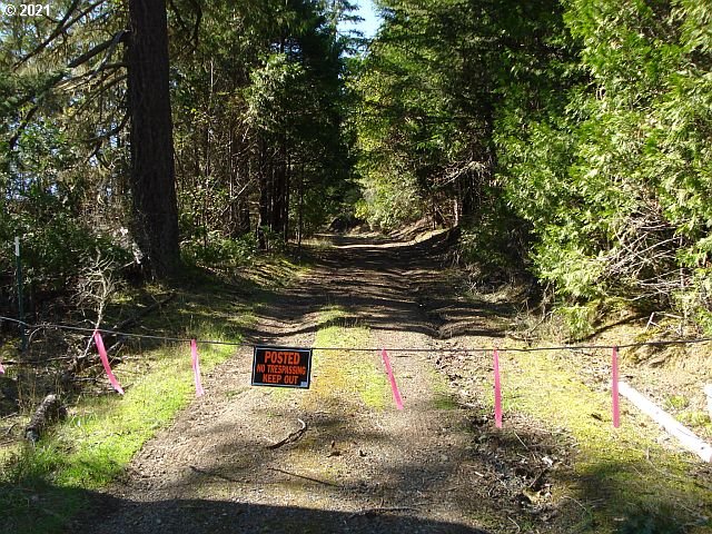 4466 Clarks Branch Road Myrtle Creek, OR 97457 - Photo 2 of 13 Gallery Image 2