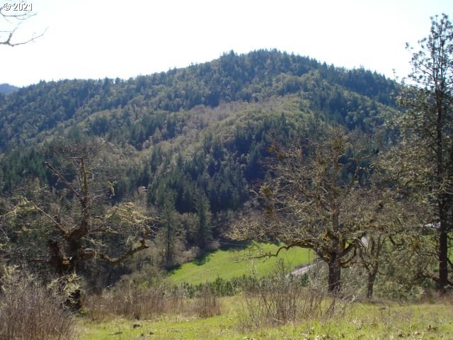 4466 Clarks Branch Road Myrtle Creek, OR 97457 - Photo 11 of 13 Gallery Image 11