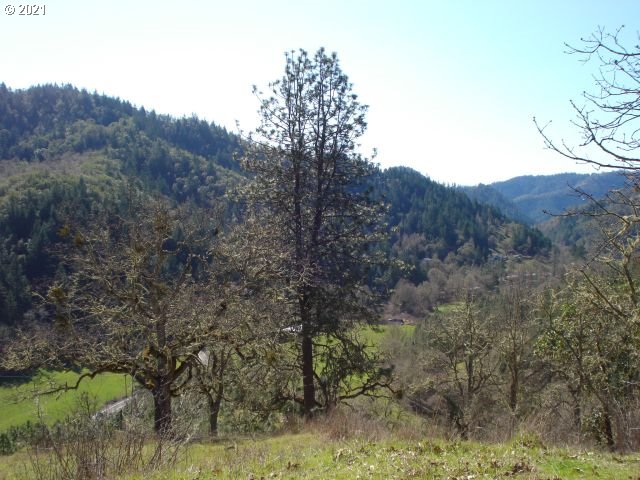 4466 Clarks Branch Road Myrtle Creek, OR 97457 - Photo 12 of 13 Gallery Image 12