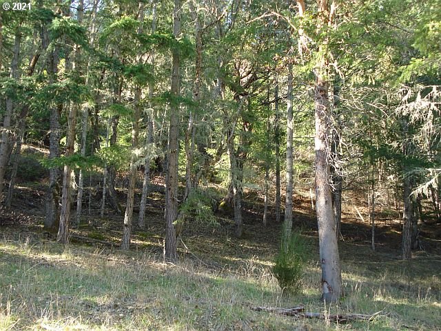 4466 Clarks Branch Road Myrtle Creek, OR 97457 - Photo 5 of 13 Gallery Image 5