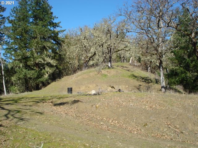 4466 Clarks Branch Road Myrtle Creek, OR 97457 - Photo 6 of 13 Gallery Image 6